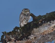 5 Vor allem nachts unterwegs